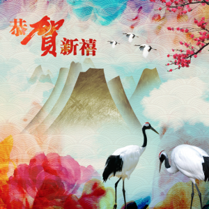 Chinese New Year Greeting Card