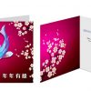Chinese New Year Greeting Card
