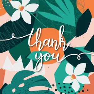 Thank You Cards